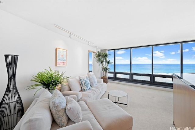 carpeted living room with rail lighting and a water view