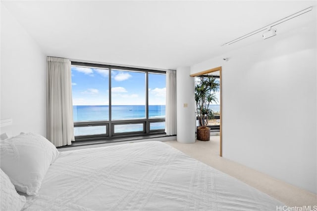 bedroom with a water view, light colored carpet, and a wall of windows