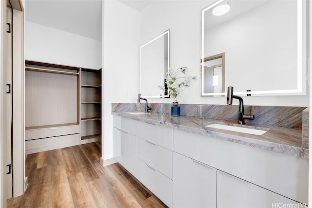 bathroom featuring wood-type flooring and vanity