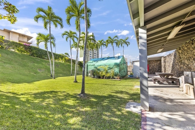 view of yard featuring a patio area