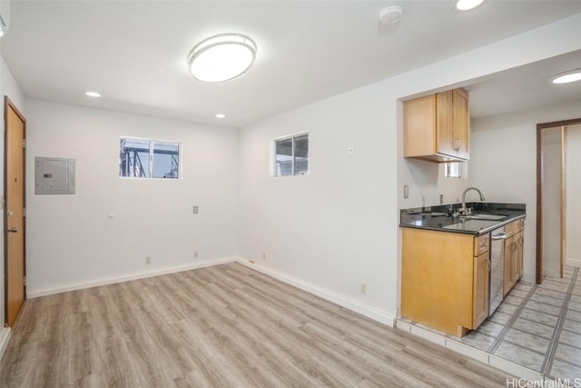 kitchen with dishwasher, sink, electric panel, and light hardwood / wood-style flooring