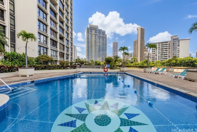 view of pool featuring a patio