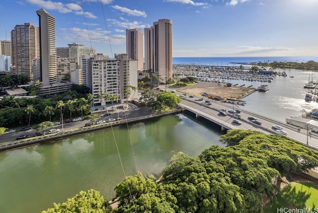 bird's eye view with a water view