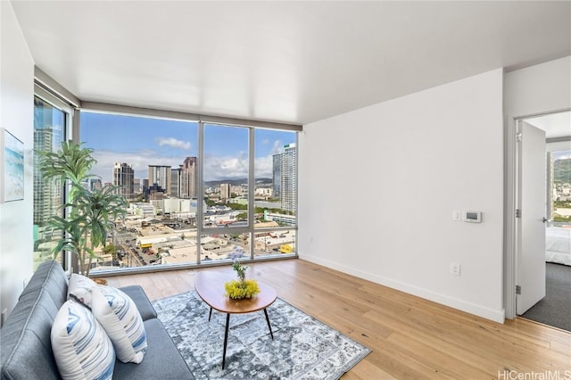 living room featuring hardwood / wood-style flooring and expansive windows