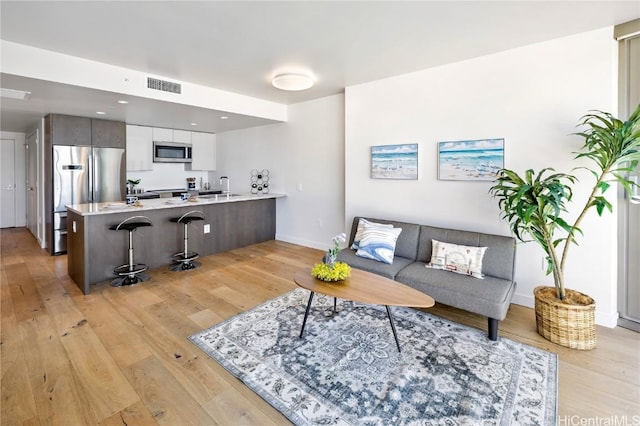 living room featuring sink and light hardwood / wood-style floors