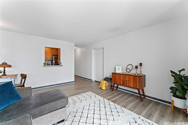 living room featuring hardwood / wood-style floors