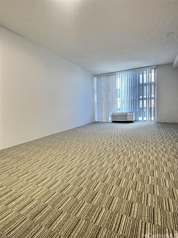 spare room with carpet