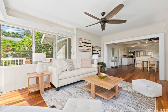 living room with wood-type flooring, plenty of natural light, and ceiling fan