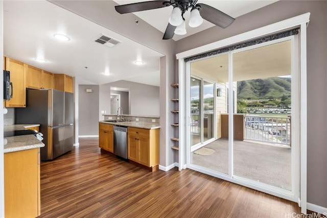 kitchen featuring ceiling fan, stainless steel appliances, dark hardwood / wood-style flooring, and sink