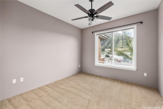 spare room with carpet and ceiling fan