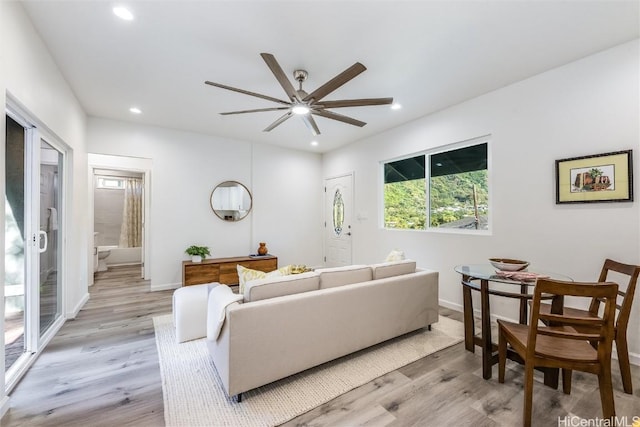 living room with ceiling fan and light hardwood / wood-style flooring