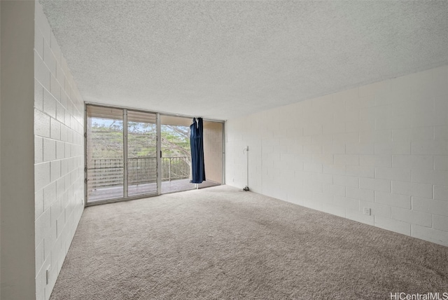 carpeted spare room with expansive windows and a textured ceiling