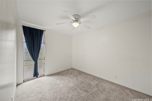 carpeted spare room with ceiling fan and ornamental molding