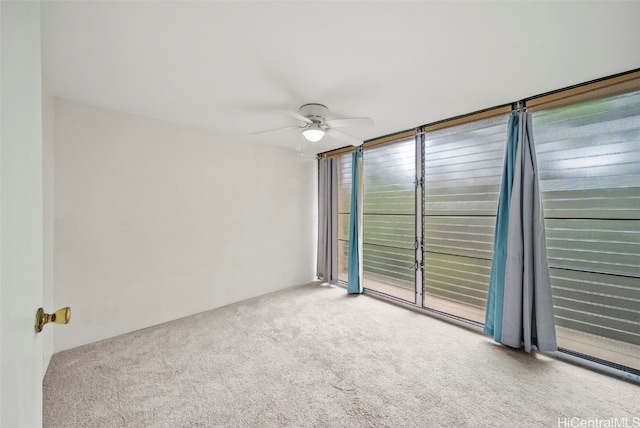 spare room featuring ceiling fan and carpet flooring