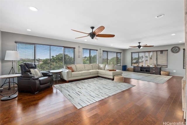 living room with ceiling fan and dark hardwood / wood-style flooring