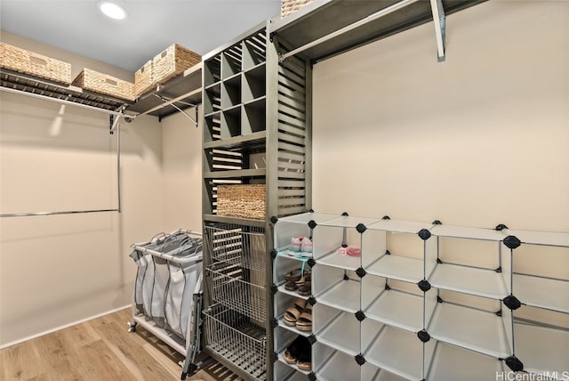 spacious closet featuring wood-type flooring