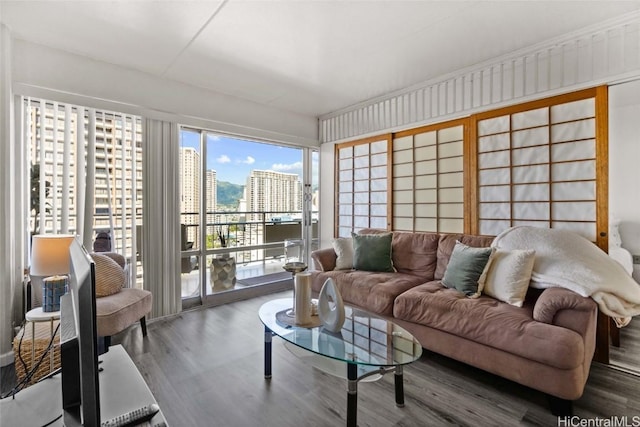 living room featuring hardwood / wood-style flooring