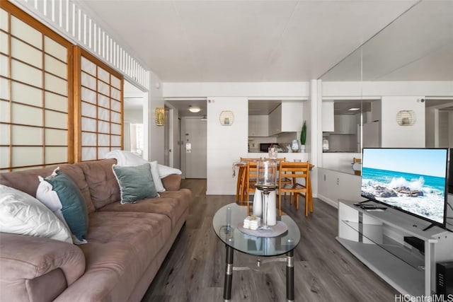 living room with dark hardwood / wood-style flooring