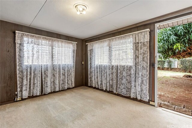 carpeted empty room with wooden walls