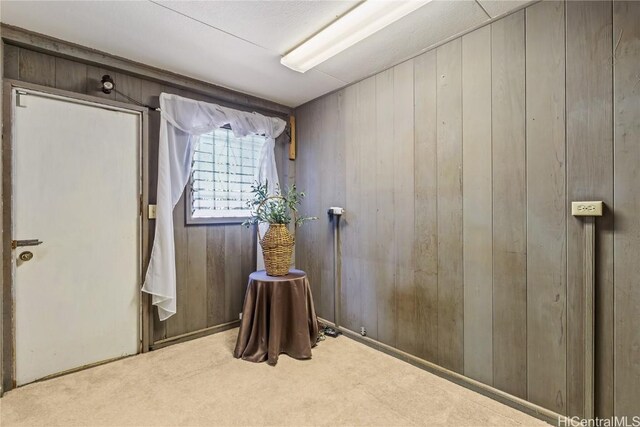 interior space with light carpet and wooden walls