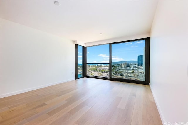 unfurnished room featuring expansive windows and light wood-type flooring