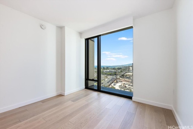 spare room with light wood-type flooring