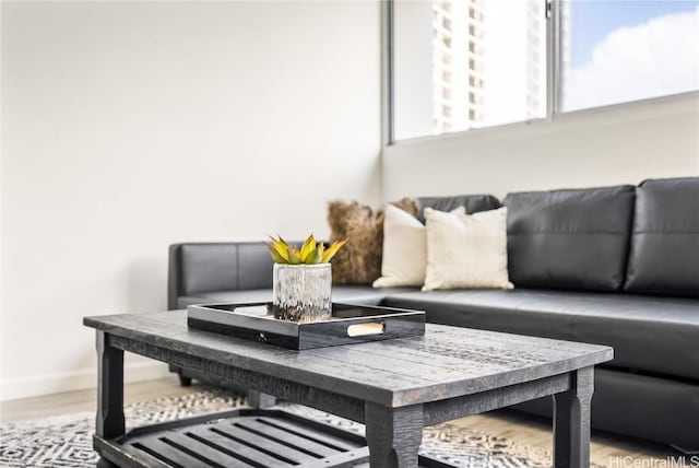 living room with hardwood / wood-style floors