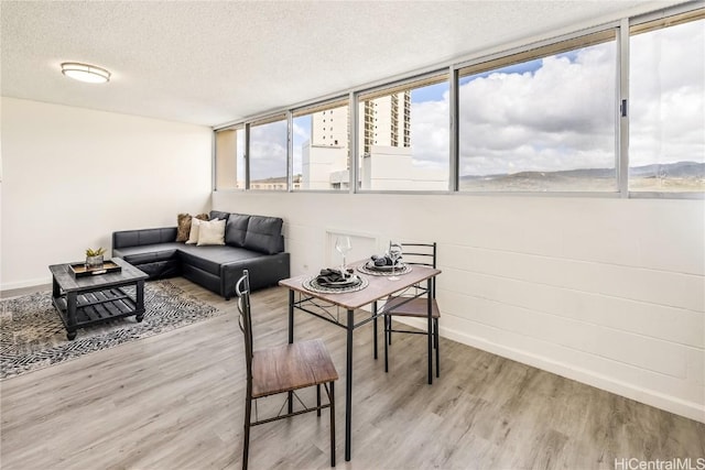 living room featuring hardwood / wood-style floors and a textured ceiling