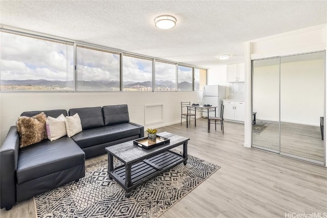 living room with a textured ceiling and light wood-type flooring