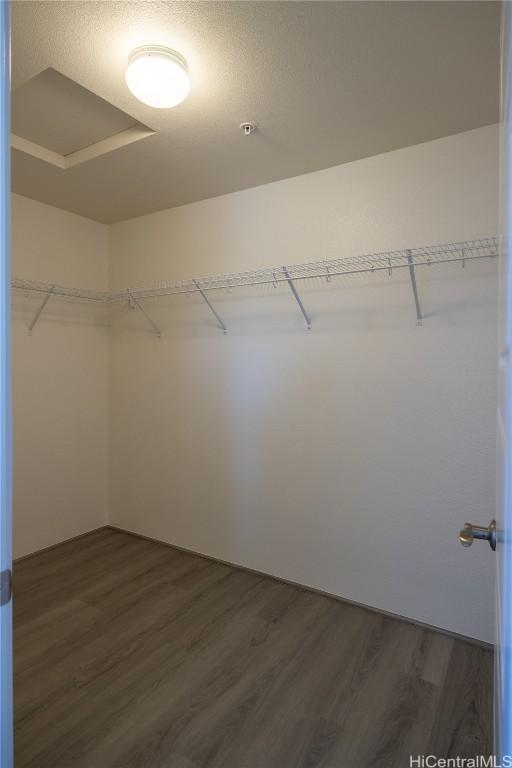 spacious closet featuring dark wood-type flooring