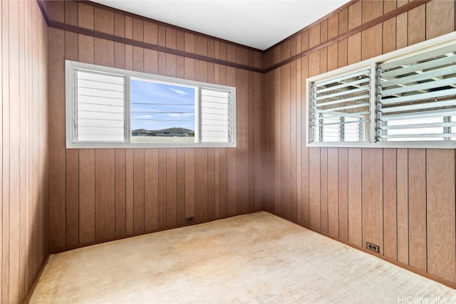 carpeted spare room featuring plenty of natural light and wooden walls