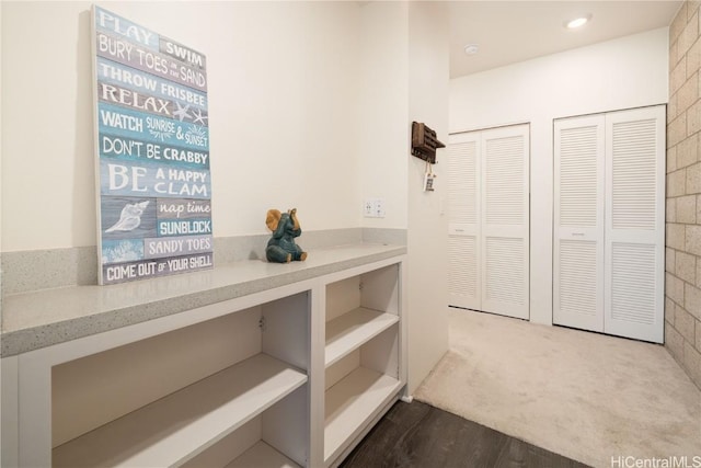 interior space with dark colored carpet