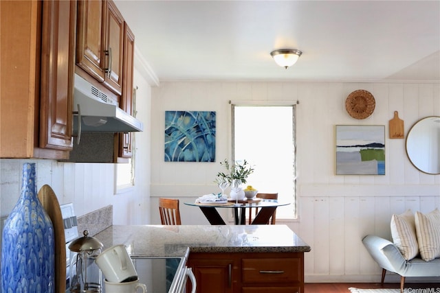 87-1894 Mohihi St, Waianae, HI 96792 - kitchen featuring range with electric cooktop, brown cabinetry, under cabinet range hood, plenty of natural light, and a decorative wall