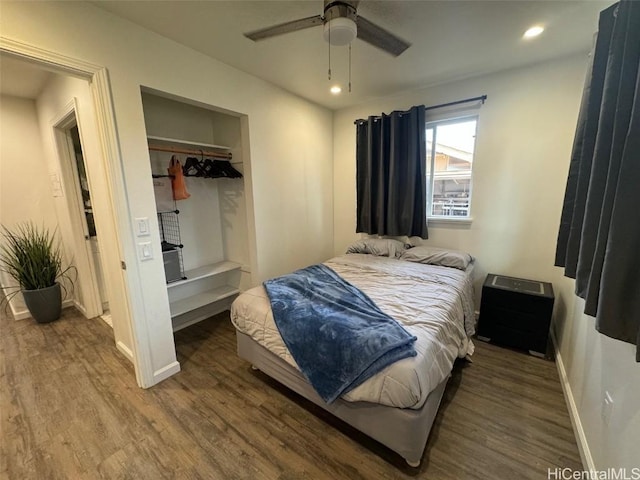 bedroom featuring hardwood / wood-style flooring, ceiling fan, a spacious closet, and a closet