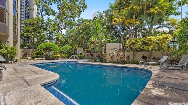 view of swimming pool featuring a patio