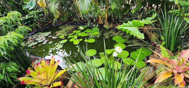 74 Makaweo Ave, Wahiawa, HI 96786 - view of details