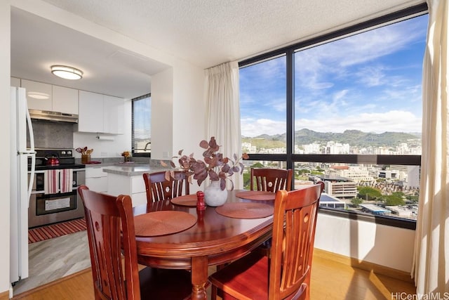 dining area with expansive windows, a mountain view, a textured ceiling, and light wood-type flooring