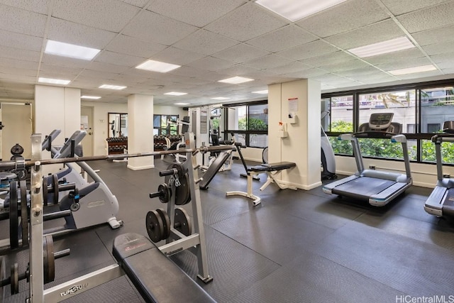 exercise room with a drop ceiling and a wealth of natural light