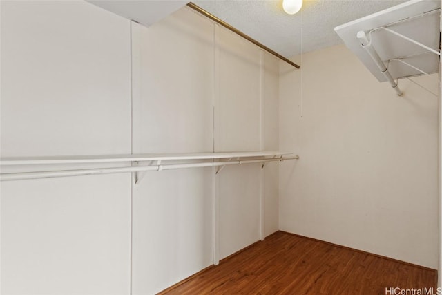 spacious closet with hardwood / wood-style flooring