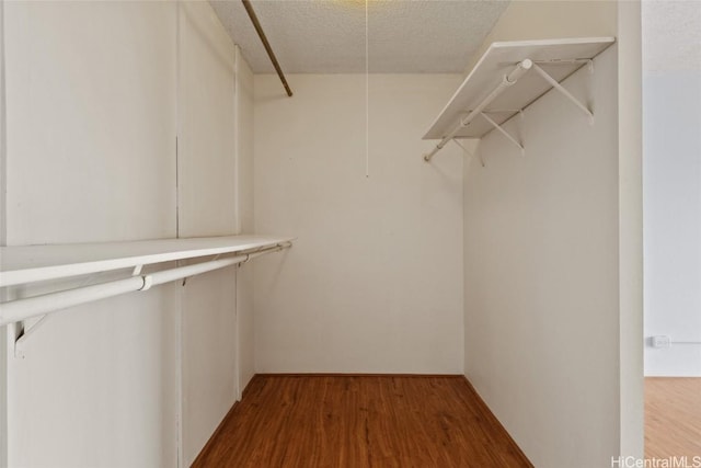 spacious closet with hardwood / wood-style flooring