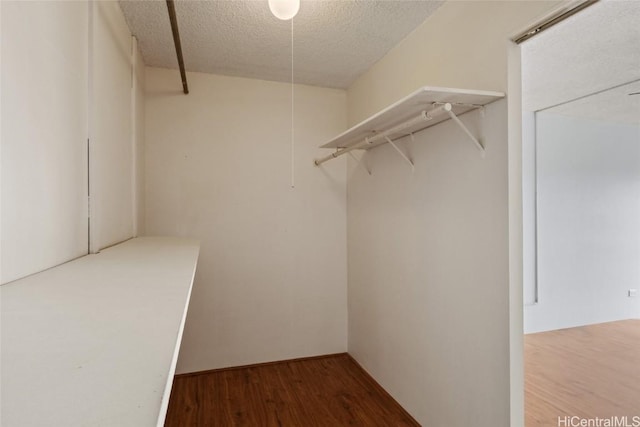 spacious closet featuring hardwood / wood-style floors