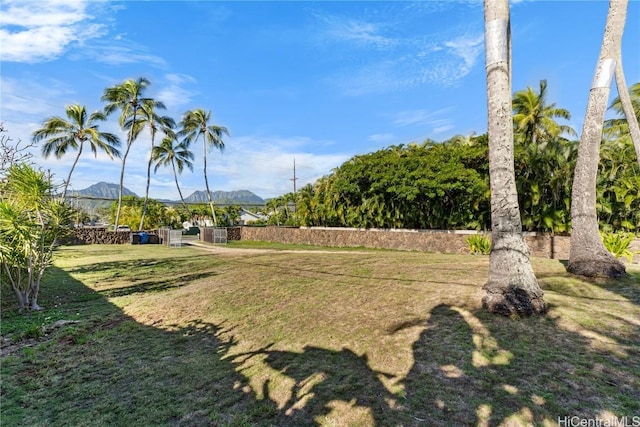 view of yard with a mountain view