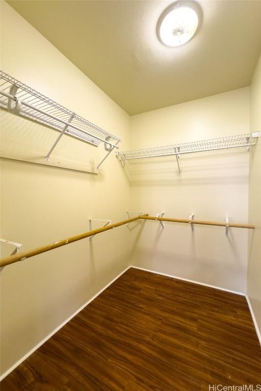 spacious closet featuring dark hardwood / wood-style flooring