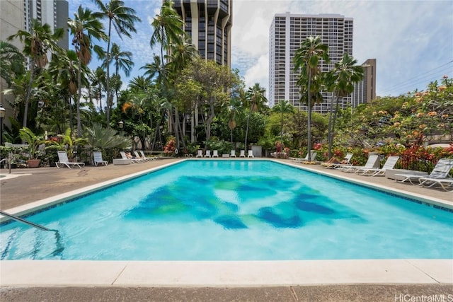 view of pool with a patio area