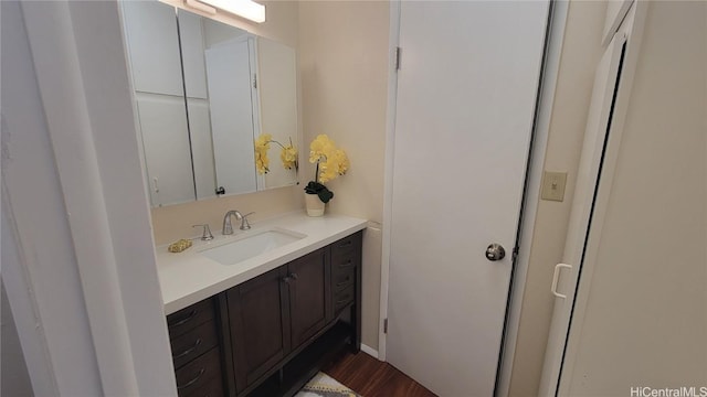 bathroom featuring hardwood / wood-style flooring and vanity