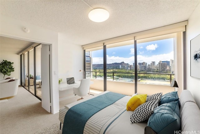 bedroom featuring carpet, access to outside, and a textured ceiling