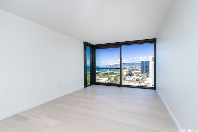 empty room with expansive windows and light wood-type flooring