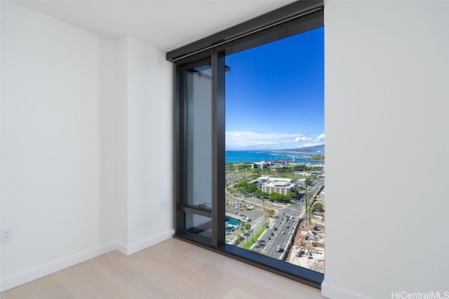 spare room with floor to ceiling windows and light hardwood / wood-style flooring