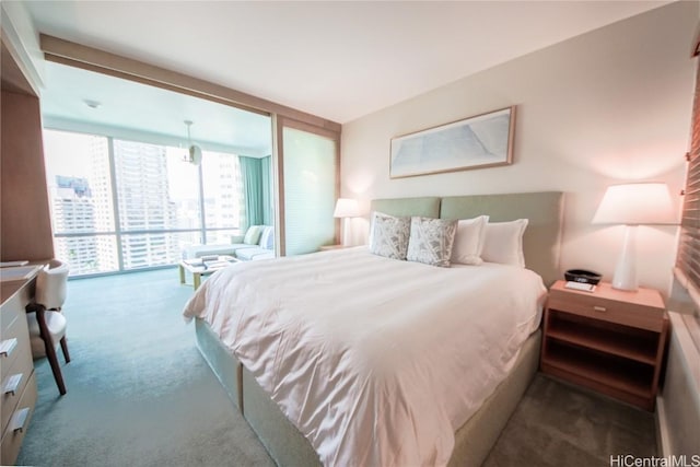 carpeted bedroom with expansive windows