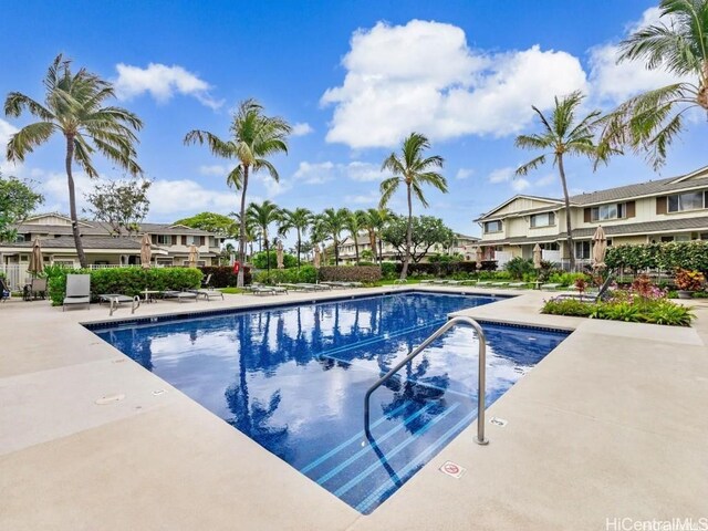 view of swimming pool featuring a patio area